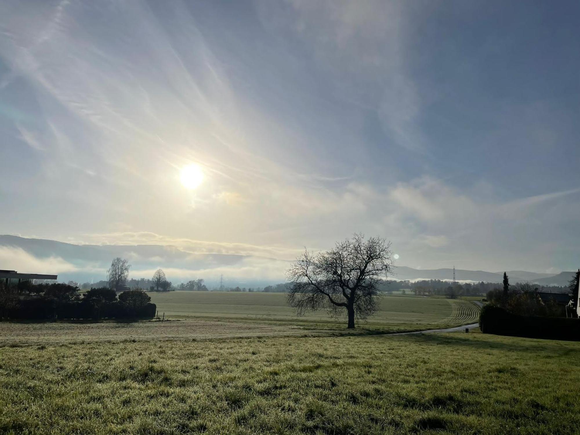 Le Petit Woerthel Villa Wolxheim Eksteriør billede